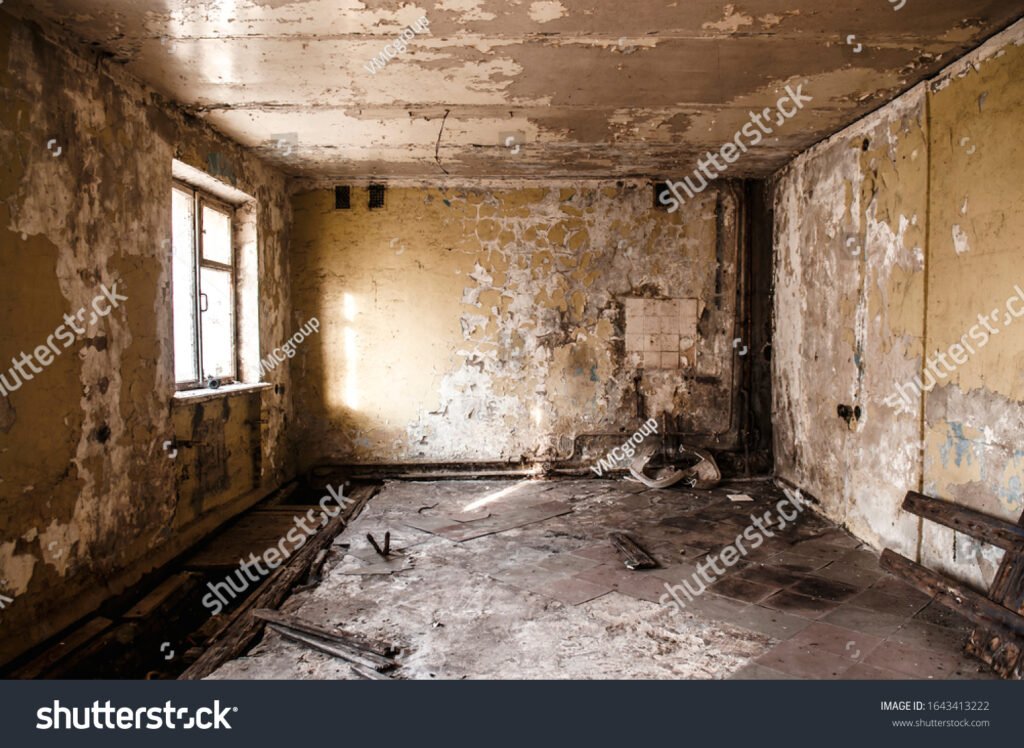 Que faire face à un logement insalubre : quelles démarches engager 2 appartement delabre avec murs endommages