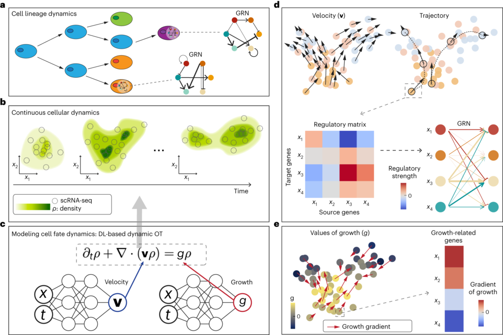 Qu&rsquo;est-ce qu&rsquo;une SCI à Capital Variable et Quels Sont Ses Avantages