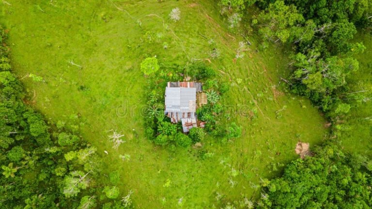 petite maison isolee sur terrain naturel verdoyant