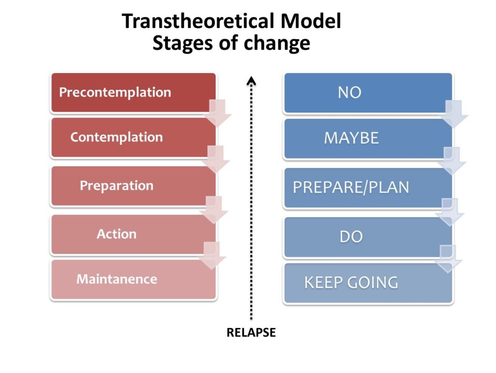 Qu'est-ce Qu'un Modèle Pré État Daté Simplifié Et Comment L'utiliser 2 schema simplifie dun modele pre etat date
