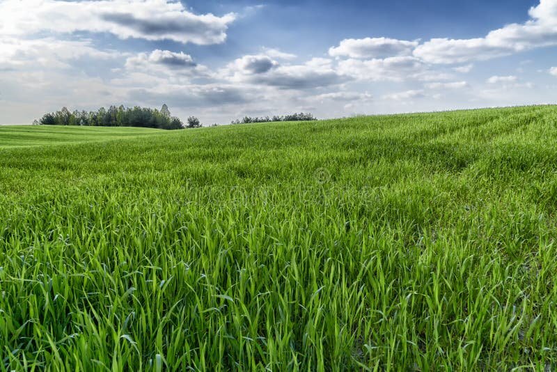 Que Peut-On Mettre Sur Un Terrain Non Constructible Sans Risque 4 Que Peut-On Mettre Sur Un Terrain Non Constructible Sans Risque