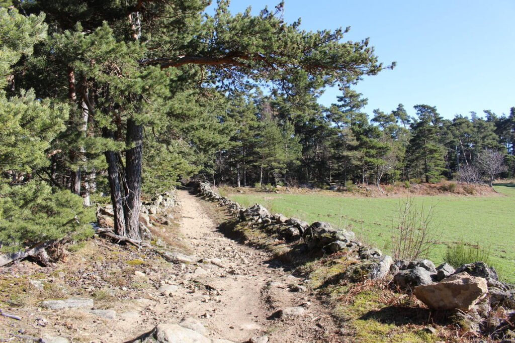 Que faire sur un terrain non constructible : quelles options possibles